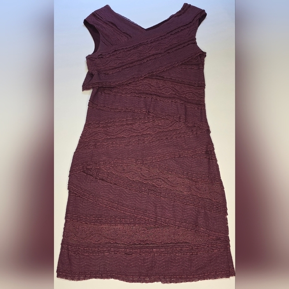 Hem And Thread Lacey Fitted Dress, Plum Colour, Cotton Blend, Lg - Picture 5 of 10